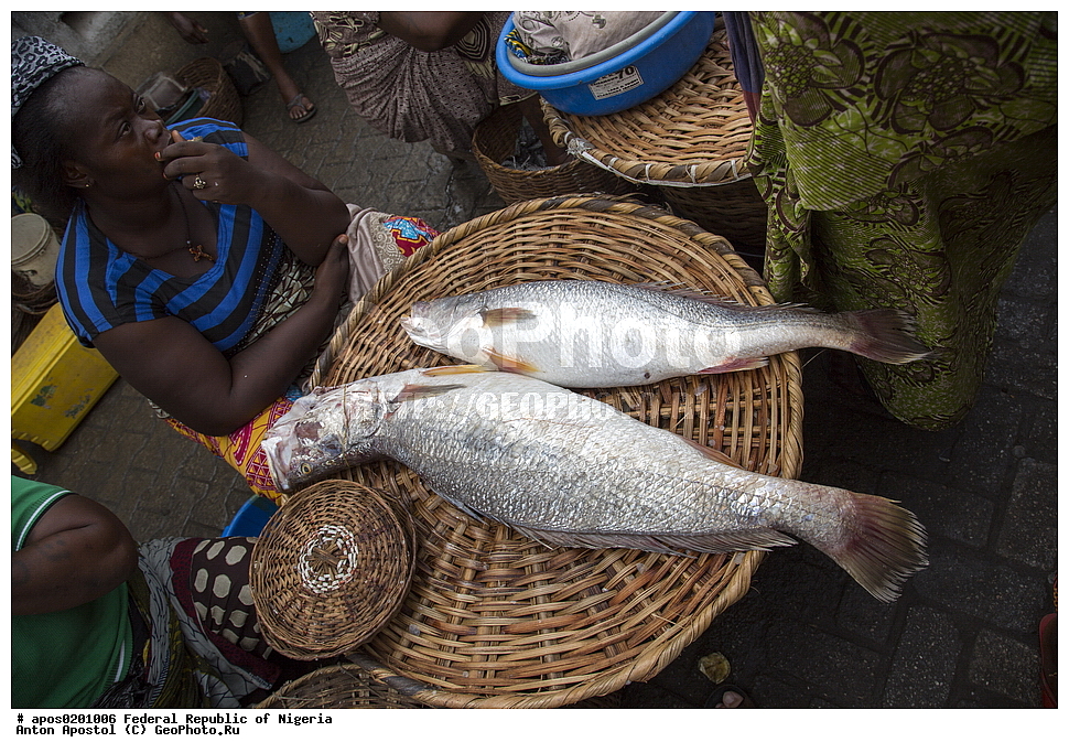 ������ ����� ������. �����, �������, �������� ������