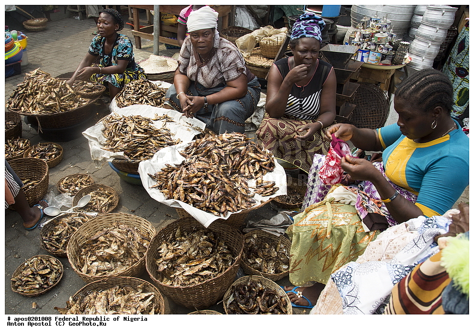 ������ ����� ������. �����, �������, �������� ������