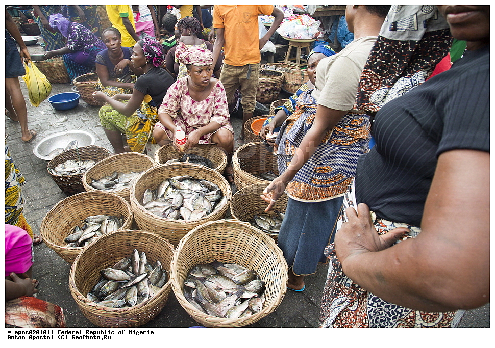 ������ ����� ������. �����, �������, �������� ������