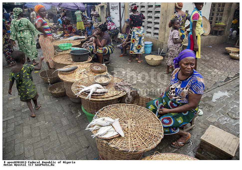 ������ ����� ������. �����, �������, �������� ������