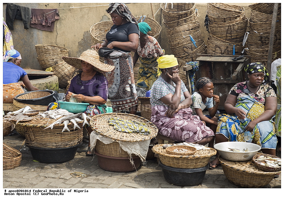 ������ ����� ������. �����, �������, �������� ������