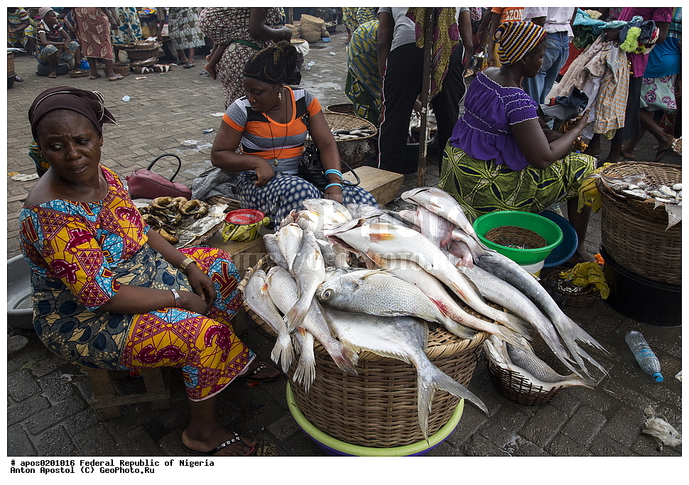 ������ ����� ������. �����, �������, �������� ������