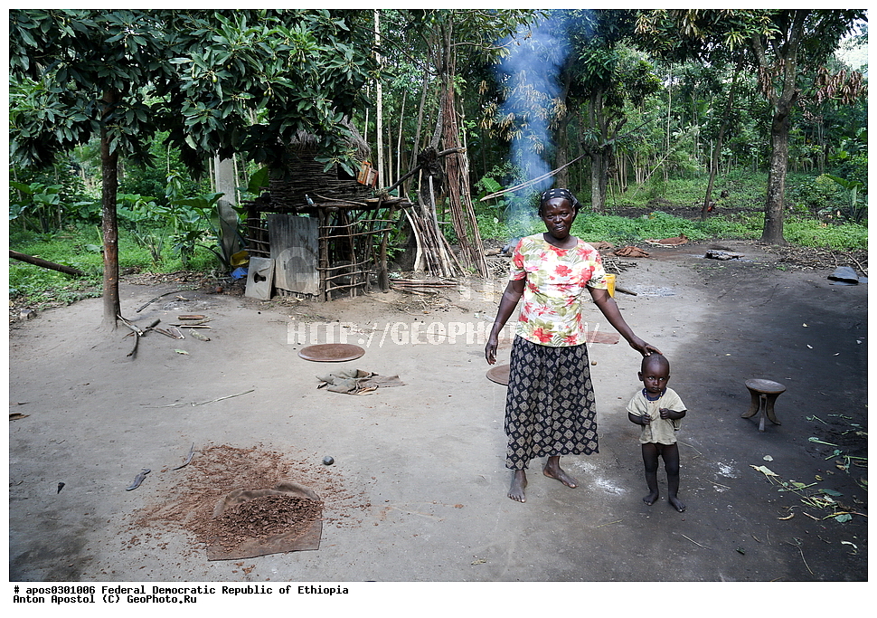 ���������� ���. ����� �������, ������������ ��������������� ���������� �������, ���������, ��������� ������, ������