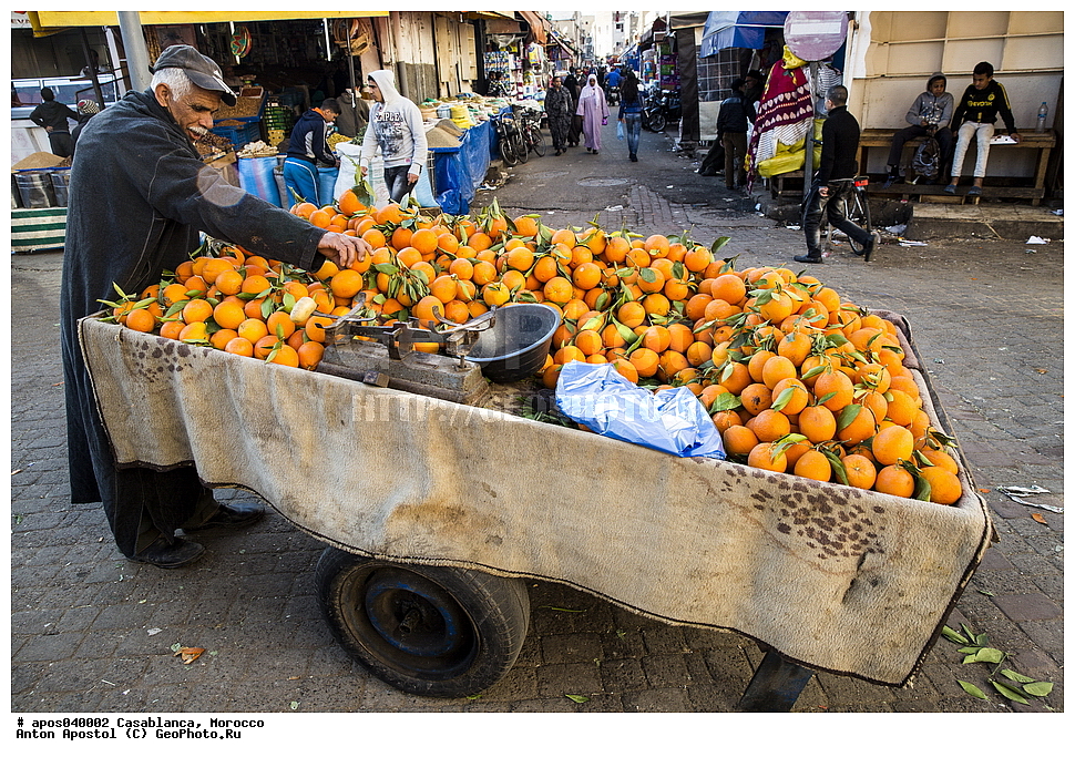 ����������, �������, ������