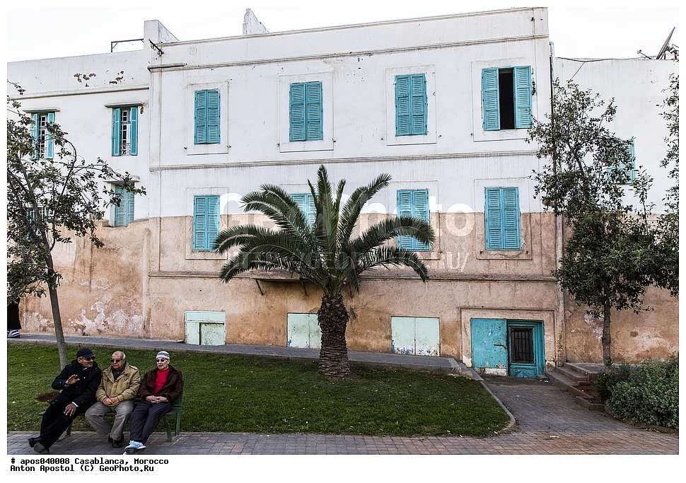 ����������, �������, ������