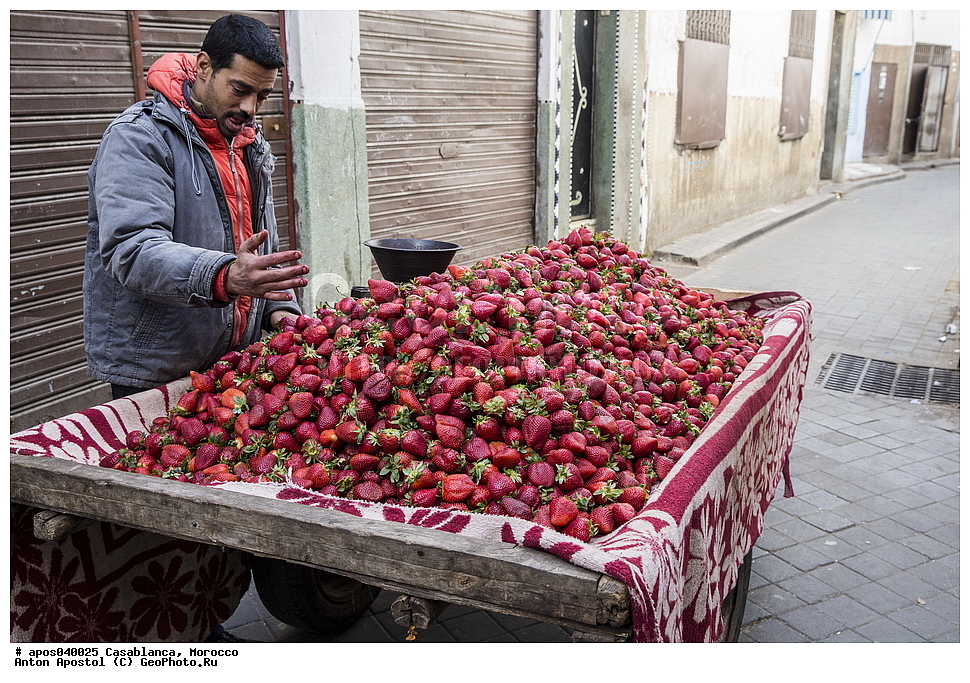 ����������, �������, ������