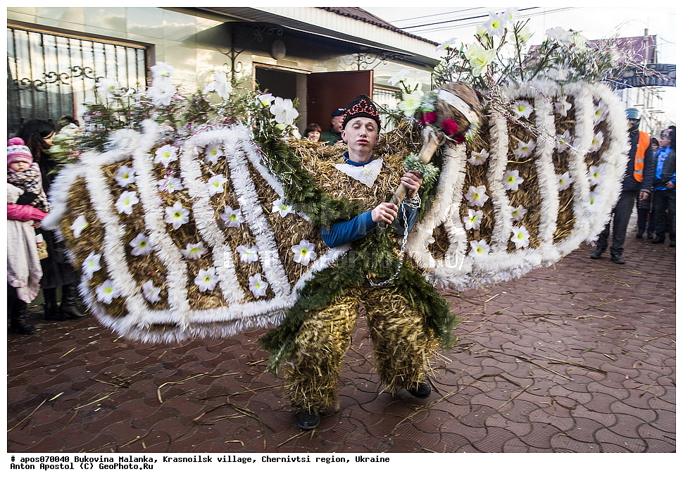 ����������� �������, ����, �����������, ����������� �������, �������