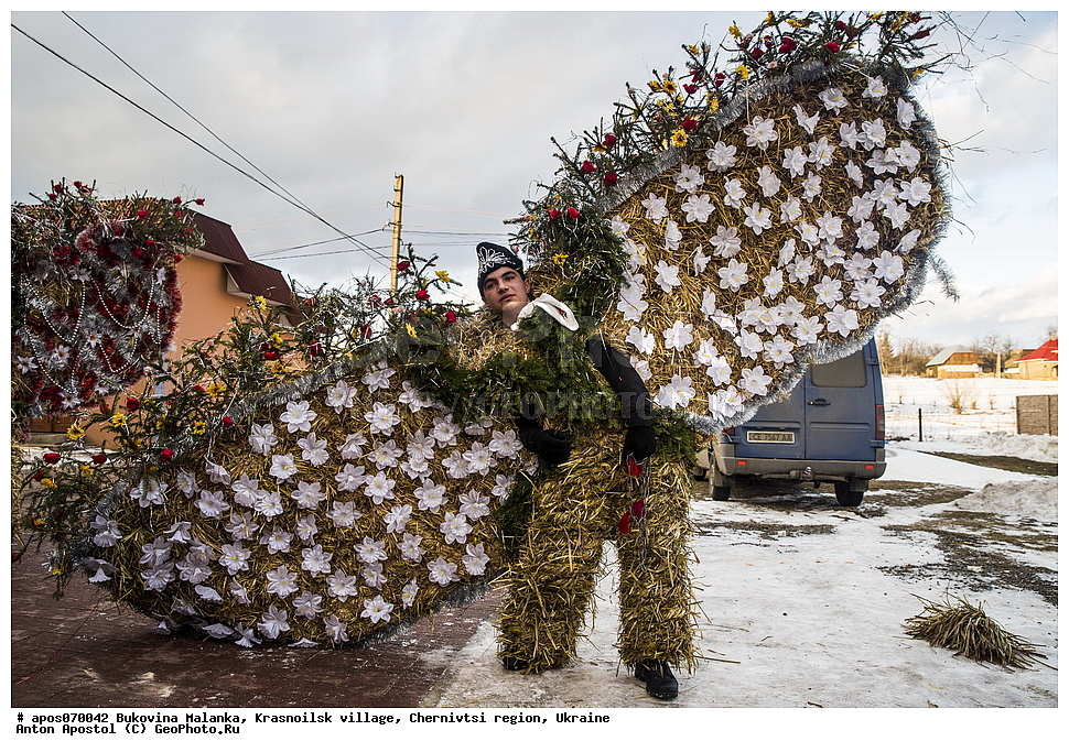 ����������� �������, ����, �����������, ����������� �������, �������