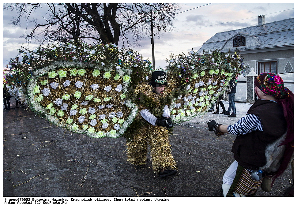 ����������� �������, ����, �����������, ����������� �������, �������