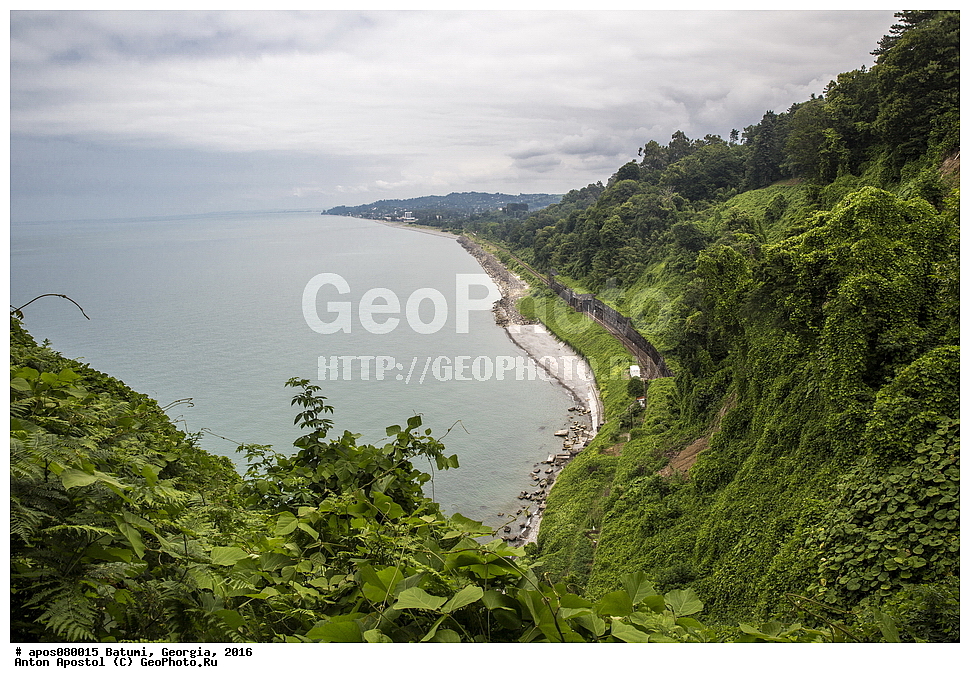 ������, ������, 2016