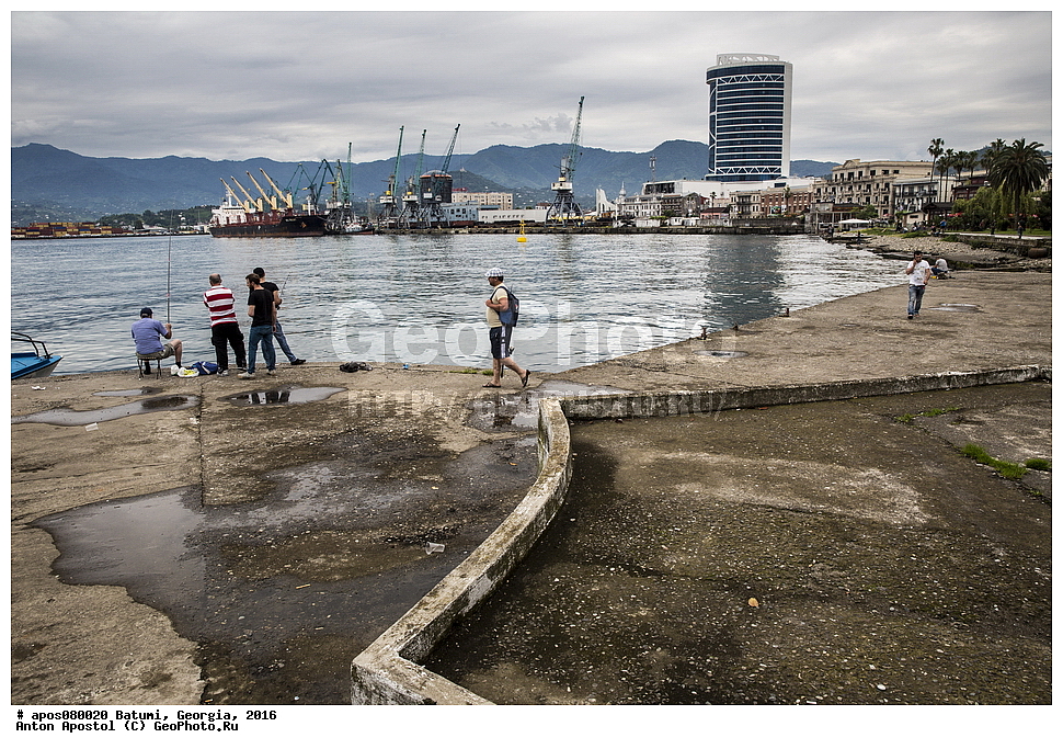 ������, ������, 2016