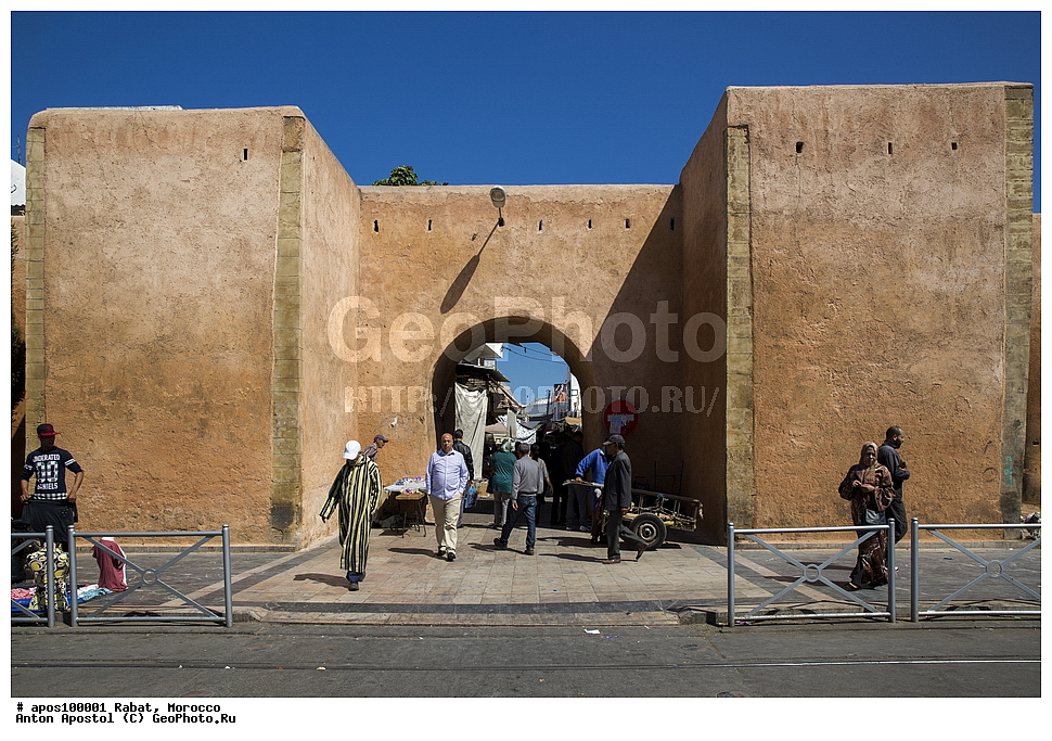 �����, �������, ����� ������