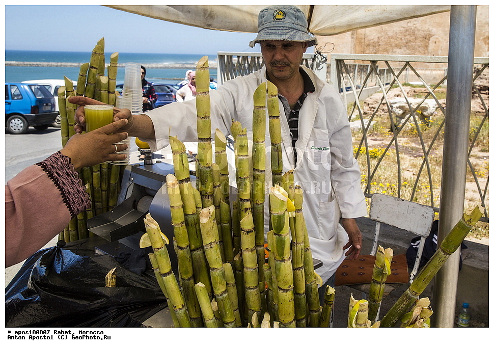 �����, �������, ����� ������