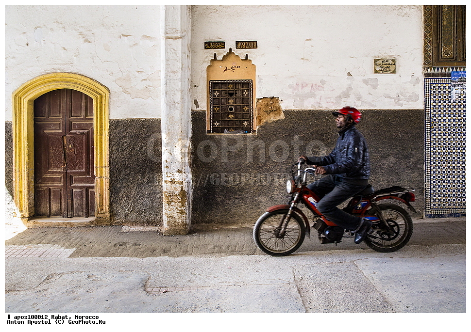 �����, �������, ����� ������