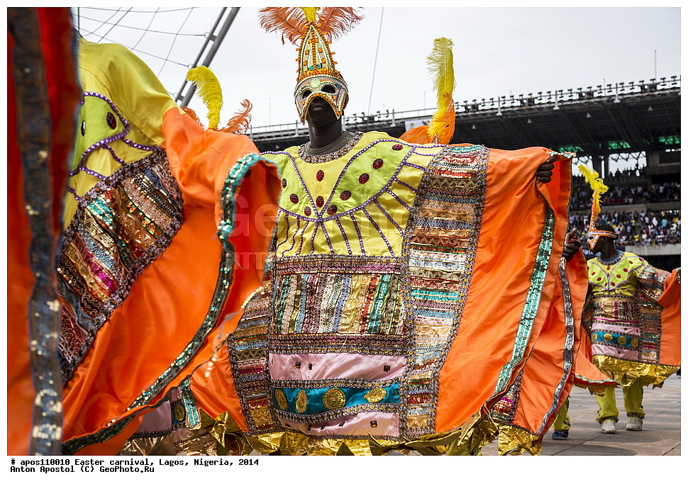 ���������� ��������, ��������, �����, �����, �������, 2014, ������, �������