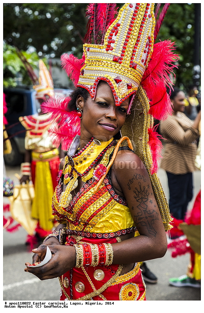 ���������� ��������, ��������, �����, �����, �������, 2014, ������, �������