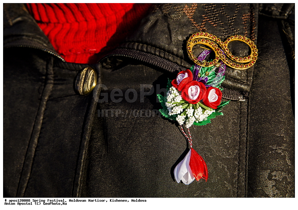 �������� �����, ��������, ��������, 1 �����, �����, �������, ����������