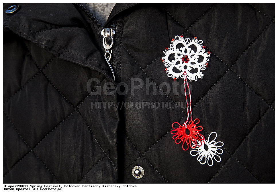 �������� �����, ��������, ��������, 1 �����, �����, �������, ����������