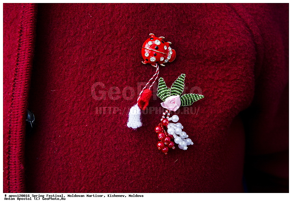 �������� �����, ��������, ��������, 1 �����, �����, �������, ����������