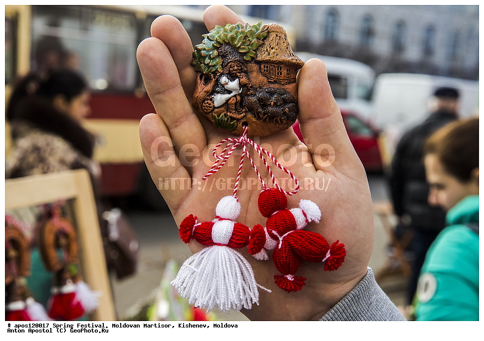 �������� �����, ��������, ��������, 1 �����, �����, �������, ����������