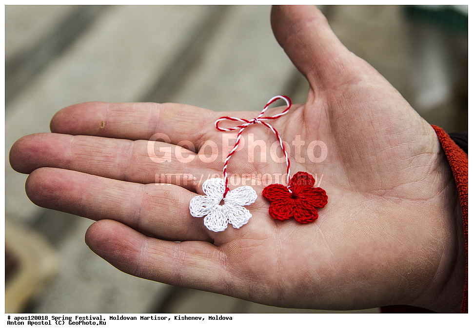 �������� �����, ��������, ��������, 1 �����, �����, �������, ����������