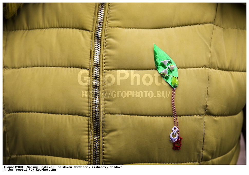 �������� �����, ��������, ��������, 1 �����, �����, �������, ����������