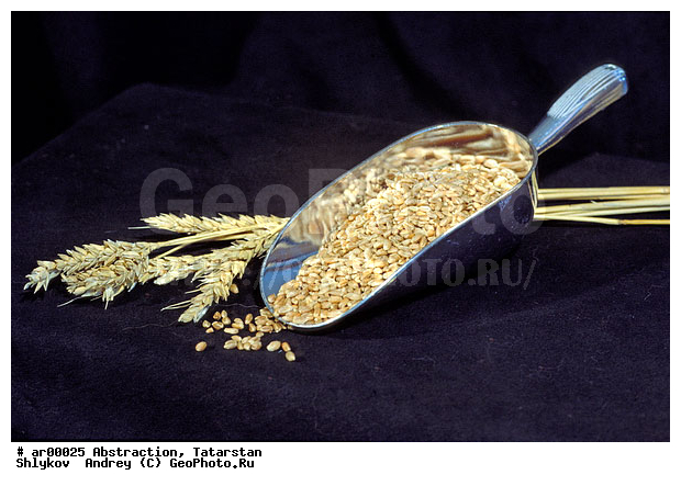 Ears, Russia, bread, food, grain, meal, still life
