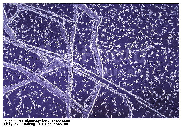 Hoarfrost, Russia, abstraction, automobile, hood, still life