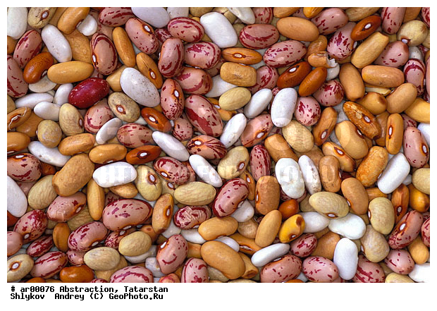 Background, Bean, Russia, String bean, food, meal, still life