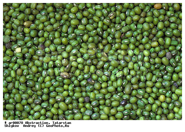 Background, Bean, Russia, String bean, food, meal, still life