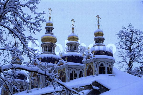 ������, �����������, �����, ���, ������� ������������ �������, ����, �����������, �����, ����, ����, ���������, �������, ������, ������, ����, ����, �������