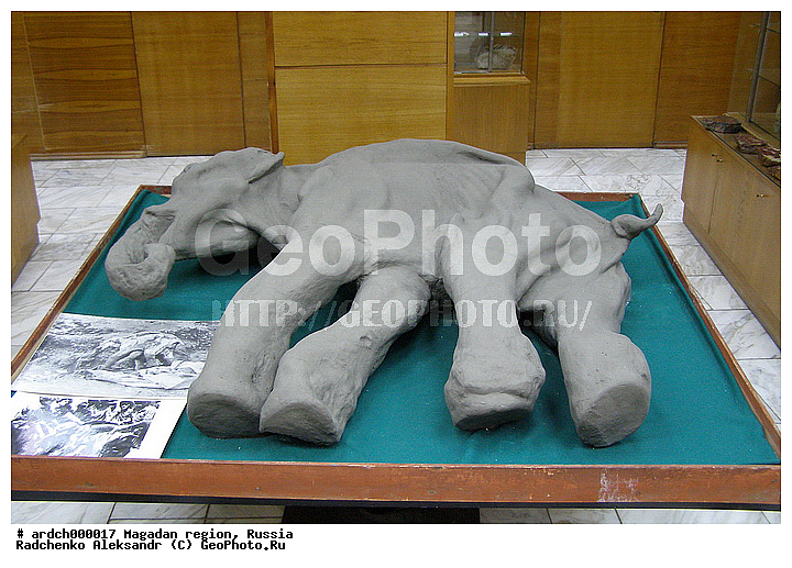 �������, ������������� �����, ������������� ����� ��������, ��������, ����, ����������, ���������, �����, �����, ������, ����������, �����, �����, �������, �������������, ������, �����, ��������