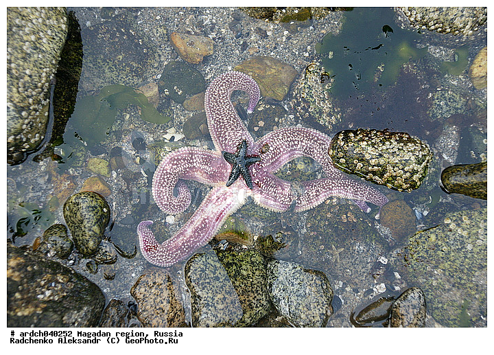 �������, ����������� �������, �������� ����, ������, ����� ��������, ��������, ������, ���������, ��������, �����������, ������� ������, ������� ��������, ����� ����, ���������, ����������, ��������