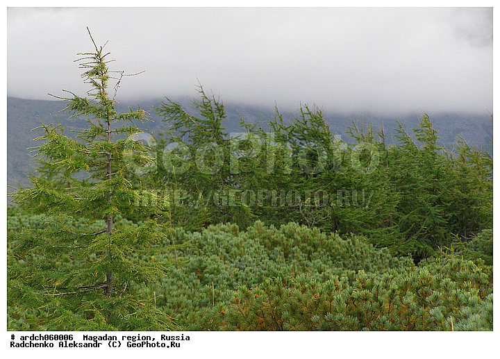 �������c��� �������, ����, ���, ����, �����������, ������, ������, �������, �����