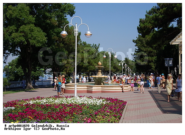 ������������� �������, �����, ������, ������ ���������, ����, ������, ������, �����