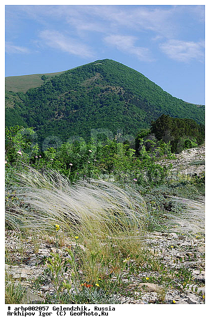 ����������� ������, ������, ���� ��������, ������ �����, ������, ������ ���������, ��������-�������