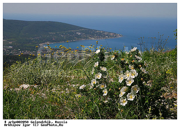 ���������, ������������ �������, �������, ������, ������ ����, ��� ��������� �����, ��������