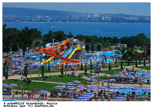 ������, ������ ����, �������� ������� �����, ��� ���������, ��� ������, ������ ���������, ������� �������