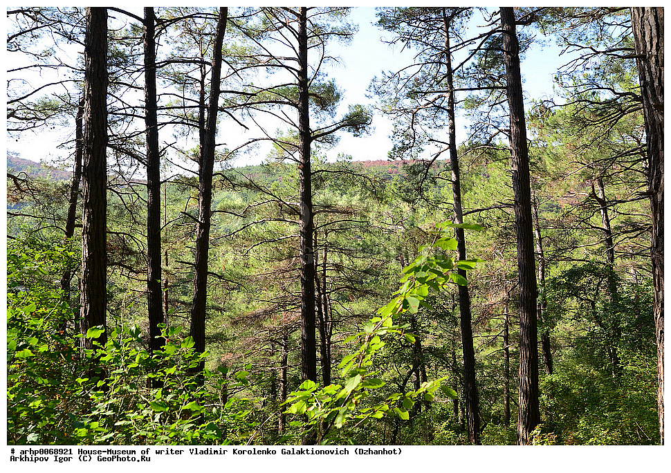 ���-�����, �����, ��������, ��������� �������� �������������