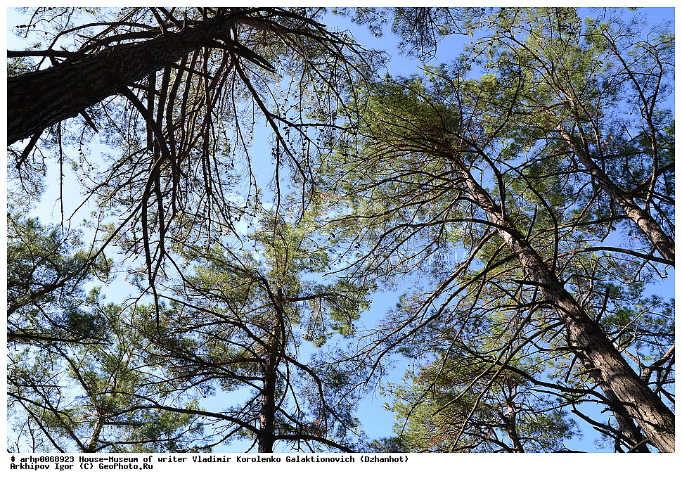 ���-�����, �����, ��������, ��������� �������� �������������