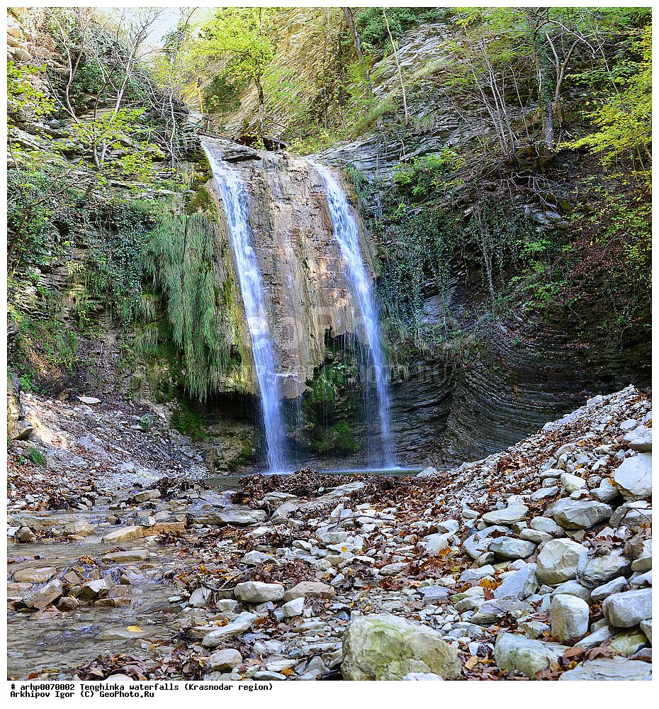 ���������� ��������, �������, ������������� ����, ������,����������� ,�����,�������,��������,����,���