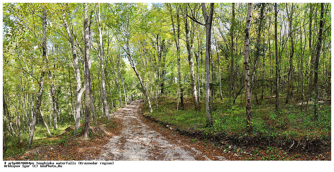 ���������� ��������, �������, ������������� ����, ������,����������� ,�����,�������,��������,����,���