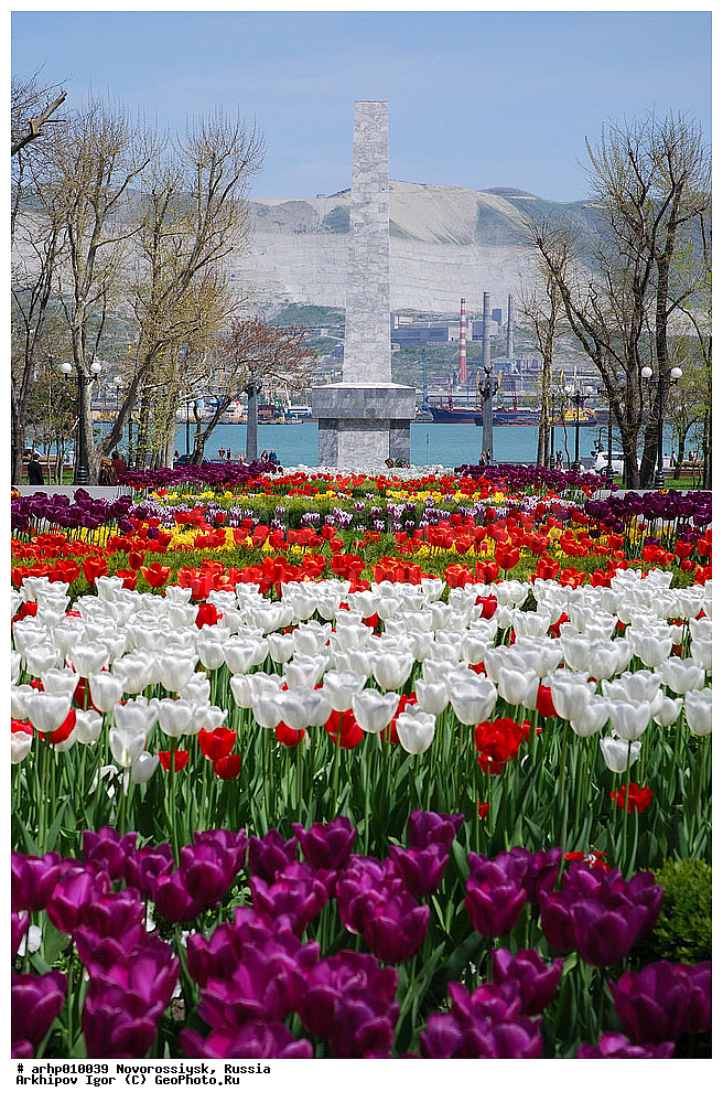 ������������� ����, ������������, ������, ׸���� ����, ������ ����, ���������, �������� �����