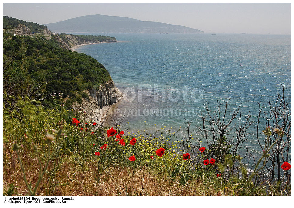 ������������� ����, ������������, ������, ׸���� ����, ������ ����, �������, ����, ���������,�����,�����,���,�����,��������,�����