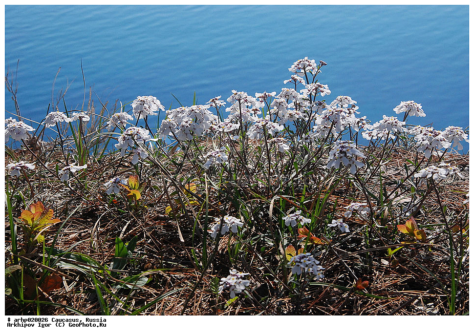 ������������� ����, ������, ������, ��������� ���������,�������������,2��������黖2,��. ���������������� ��� � ������������ �������, �������������� � ������� ����� ���������� ��������� � ������-�������� ����� ������������� ����-����� ������� � � ������������,�������� ,���,   ����������� ��������� ����������. ������ � 30 ��. ������ ���������������. ���-����� �������� �� ��������� � �������� �����. ������ ������ ����������������, ��������� � �����������������������, �������, �����, ������������� ��� ������ ��������. ������ ������� � �������� ������������� �����