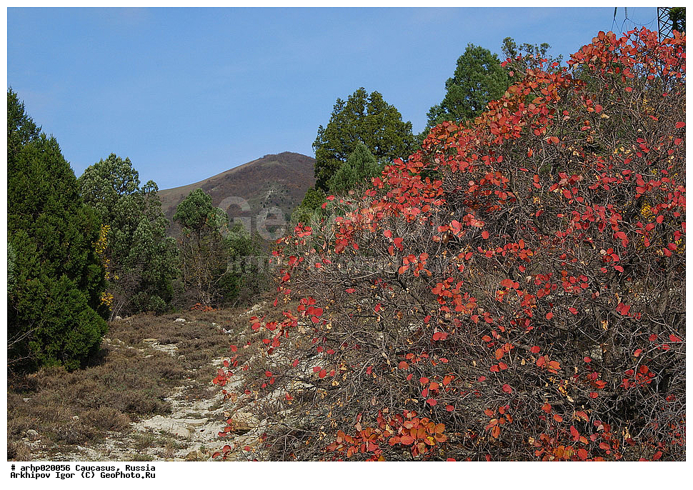 ������������� ����, ������, ������, ����������� ������, �������