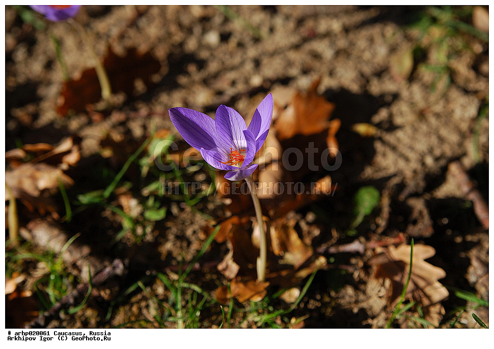 ������������� ����, ������, ������, ����������� ������, �������,������������,������ ���������� ������������-���������� ���.
����������� �����������, � �������� ��������� �� 15, � � ������������ �� 28 �� ������. ������� 3�5, ��� ����� ��������-����������� �����, �����, �������� ������������, �� 15 �� ����� � 20 �� ������. �������� ����� ����������, ������� ������������ ��� ���������, �� 2 �� � ��������, ��������� ������������, ����������, ������������ � ������� ������ ������. ������ ������� ��� ������-����������, 