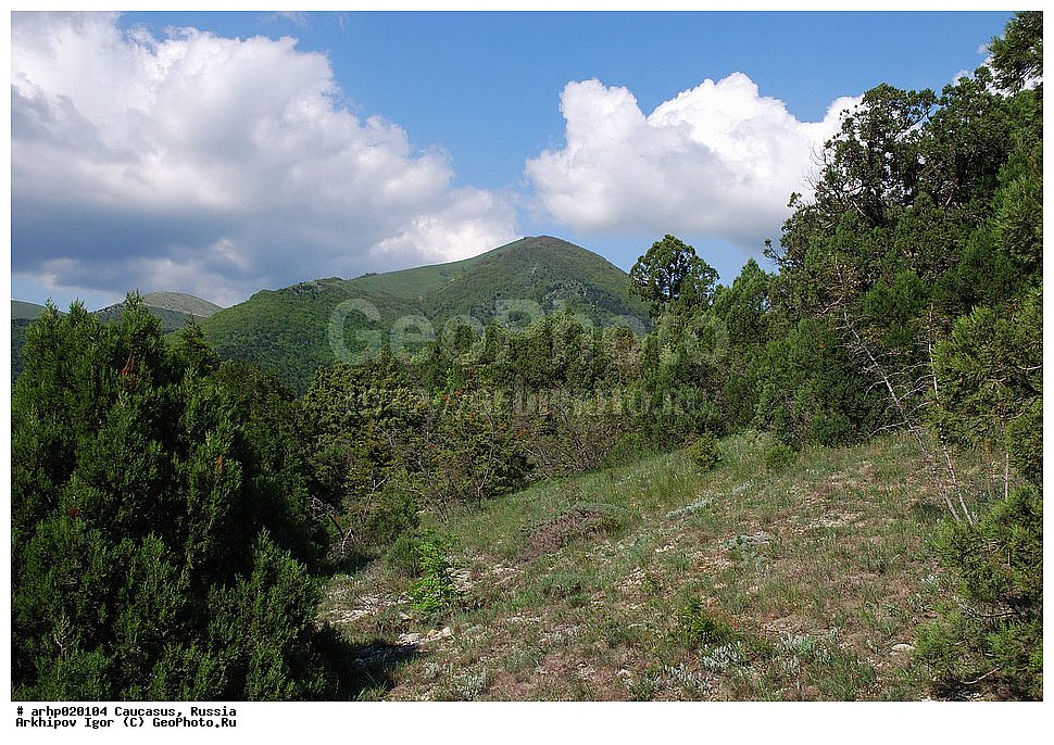 ������������� ����, ������, ������, ����������� ������, �������