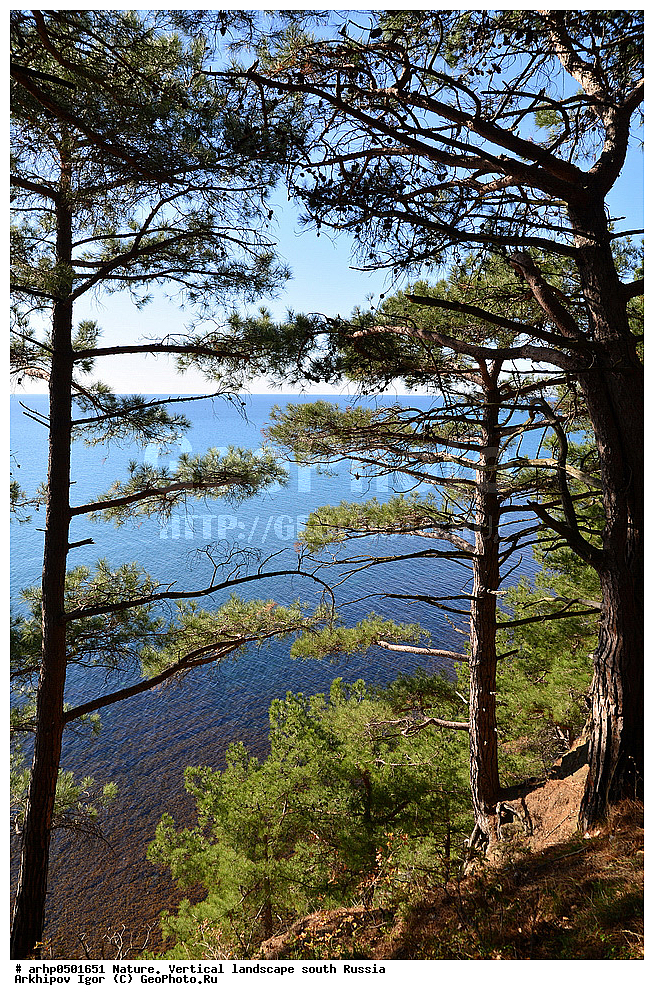 �������, ������������ �������, �������, �� ������