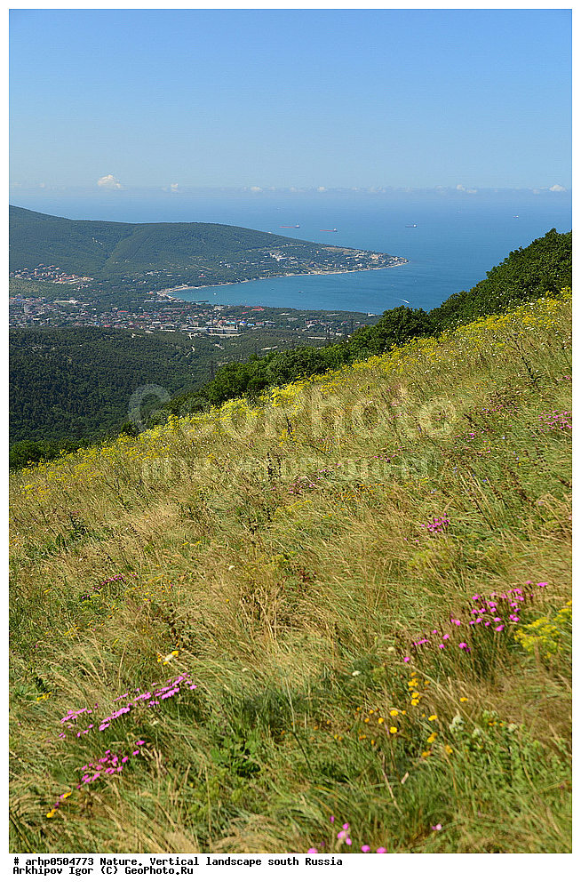 �������, ������������ �������, �������, �� ������, ������������ �������. ��������� �����,�������,���,����,����,������,����������